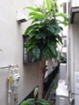 川崎市幸区の美容院【エンデ美容室】地域密着型ヘアサロン、着付け・赤ちゃんカットもエンデへ!鹿島田駅すぐ駐車場完備です。