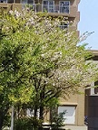川崎市幸区の美容院【エンデ美容室】地域密着型ヘアサロン、着付け・赤ちゃんカットもエンデへ!鹿島田駅すぐ駐車場完備です。